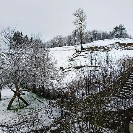 Appartamento Grazioso Bilocale *